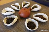 普洱生茶真的属于绿茶吗？国际茶叶分类标准可信吗？