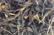 春茶与非春茶：凤凰单丛的独特之处