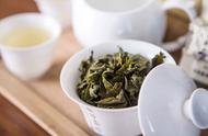 如何辨别铁观音茶的品质？
