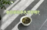 揭秘老茶客为何不偏爱闷泡老白茶：四大理由，早知早得益