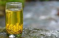 黄茶知识全解析：探索黄茶的定义