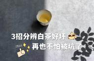 掌握这3个技巧，轻松鉴别白茶品质，不再受茶商欺诈