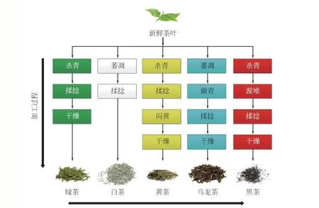 茶叶品控的“立体化”：从“茶”言观色开始