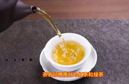 乌龙茶的命名由来是什么？