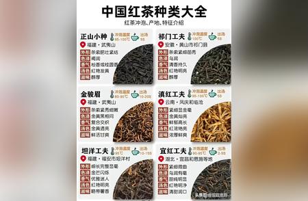 探索中国红茶的多样性：一份全面的指南