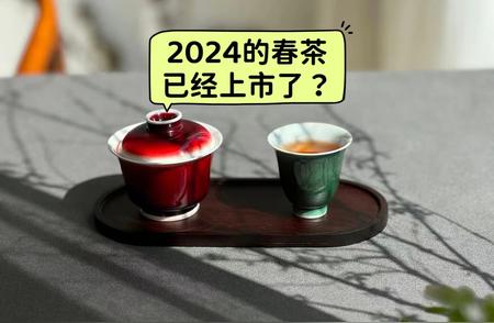 2024年春茶提前上市？5个问题助你快速掌握春茶知识