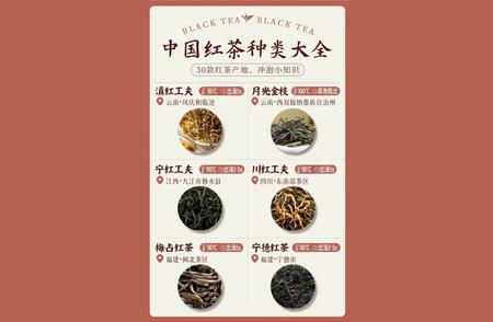 红茶种类一览：中国红茶的全面解析
