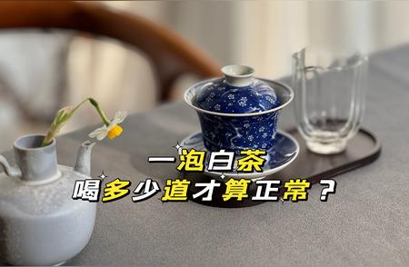 茶掌柜口中的白茶，真的能泡50次吗？揭秘背后的秘密！