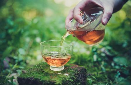 绿茶、红茶、乌龙茶的冲泡技巧指南