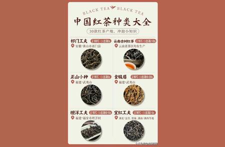 中国红茶品种全面解析