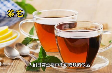 《茶艺之美，经典传承》