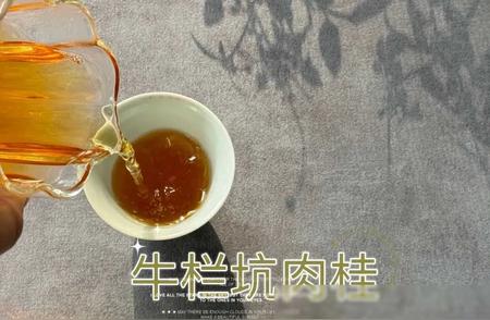 1996年的武夷岩茶，老茶能喝吗？村姑陈的深度解析