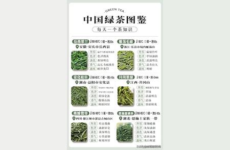 中国绿茶大全：珍藏版，慢慢品味，增长见识！