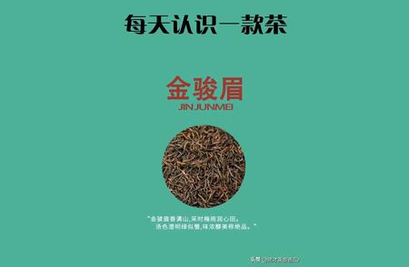 每日一茶：探索茶叶的世界