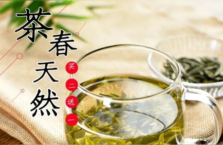 春茶的魅力：它如何赢得了众多茶友的热爱？