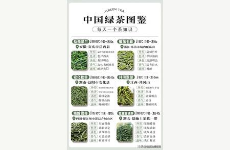 中国绿茶大揭秘！收藏起来慢慢品味，增长见识！