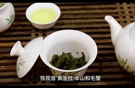 铁观音曾经的辉煌：为何如今国人不再品饮？