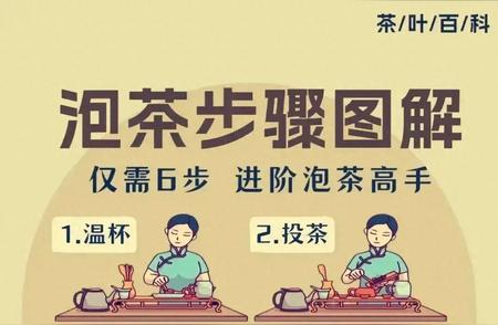 掌握六大技巧，变身泡茶专家