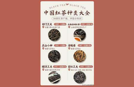中国红茶全收录：品种一览表