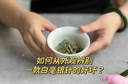 白毫银针品质鉴别：五个关键细节揭秘