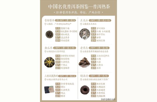 普洱茶大全：从品种到泡法的终极指南