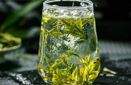 探索绿茶的世界：七种经典香气等你品尝