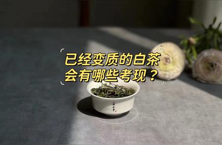 老茶客如何辨别白茶是否陈化？揭秘4大鉴别技巧