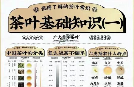 茶叶知识大全：了解一切茶的奥秘