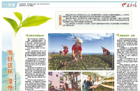 党报记者深入八闽探索之旅：品味漳州乌龙茶的独特风味