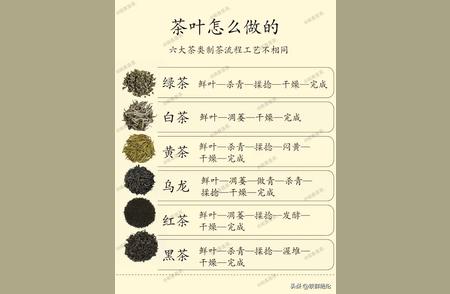 茶叶知识大全：掌握茶的奥秘