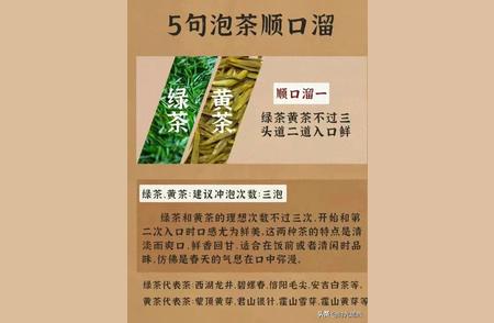 掌握六大茶系冲泡诀窍，变身泡茶大师