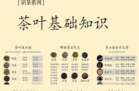 茶叶入门必备：掌握所有基础知识