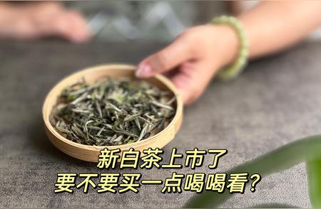 新白茶登场：品鉴新鲜滋味还是坚持老白茶？
