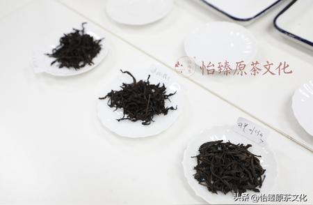 发现青茶魅力：专业评茶员引领你深入乌龙茶的香气世界