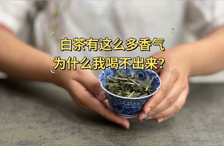 白茶香气大揭秘：你为何尝不出毫香与花香？