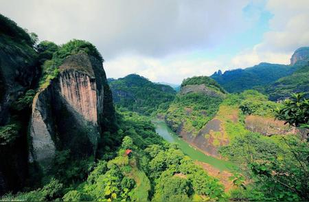 中国茶文化探秘：十款名茶的原产地与品鉴秘诀