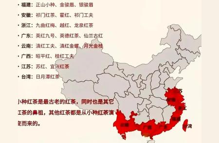 一目了然：茶叶产地分布图，南方地区占主导