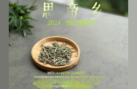 探索2024一级白毫银针：鲜香与花香的完美演绎