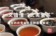一文详解武夷岩茶：品种谱系与独特魅力