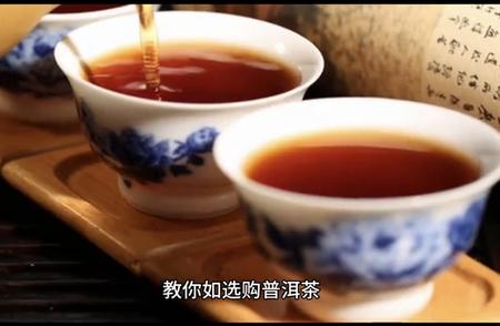 初学者指南：轻松选购优质普洱茶