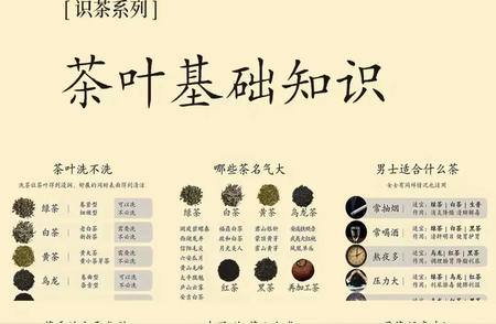 揭秘茶叶：从基础到进阶，一篇文章全掌握！