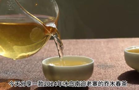 1. 品味独特的冰岛南迫乔木春茶：探寻品质与历史的融合