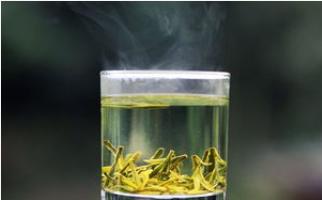 绿茶百科，黄山毛峰的冲泡方法