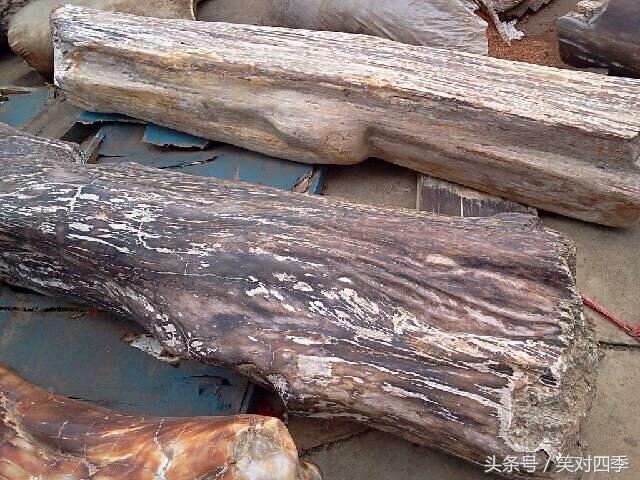 在一家废品站拍的硅化木，听说是亿年前的树木变成，这个值钱吗？