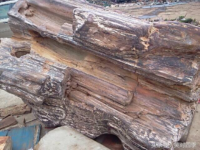 在一家废品站拍的硅化木，听说是亿年前的树木变成，这个值钱吗？